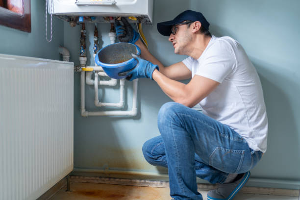 Best Same-Day Plumbing Service  in Hampton, IL